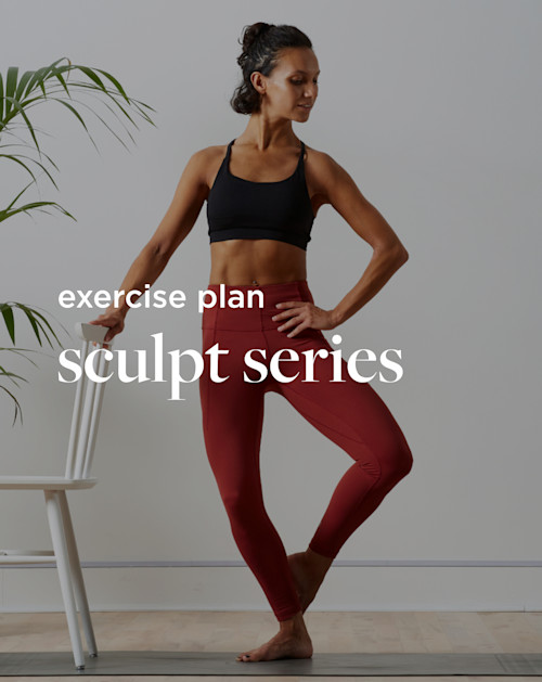 Sculpt Series