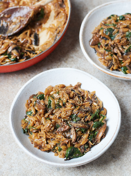Creamy Mushroom Orzo